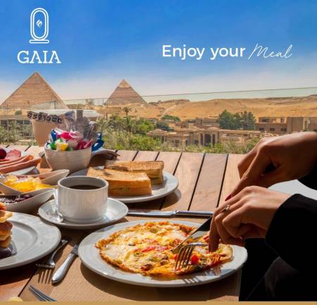 Gaia Pyramids Hotel38